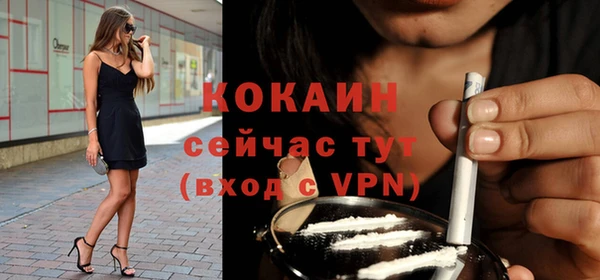 молекула духа Нефтекумск