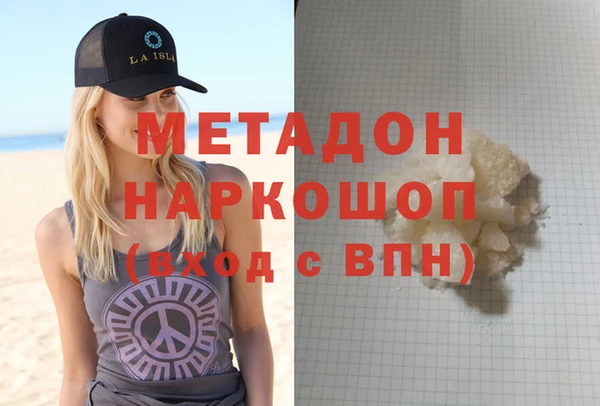 прущие грибы Новозыбков