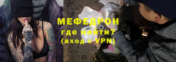 прущие грибы Новозыбков