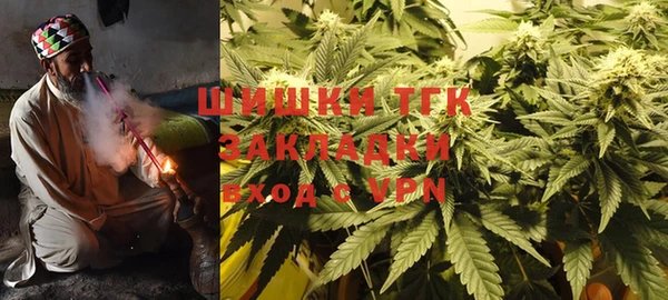 тгк Новодвинск