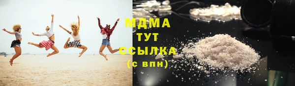 прущие грибы Новозыбков
