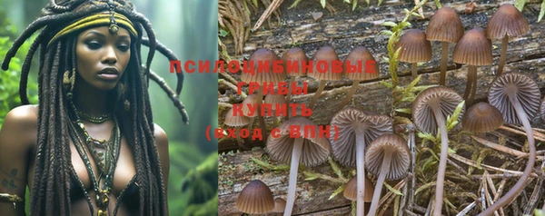 тгк Новодвинск