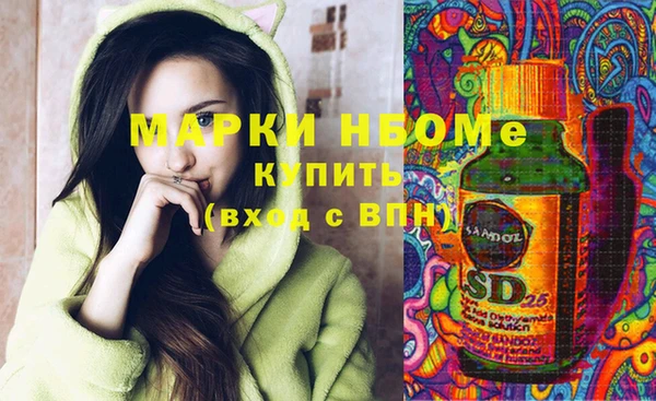 прущие грибы Новозыбков