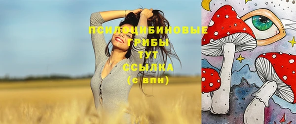 прущая мука Нея