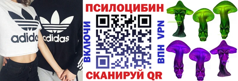купить  цена  блэк спрут tor  Галлюциногенные грибы MAGIC MUSHROOMS  Почеп 